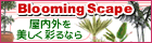 �ϗt�A��