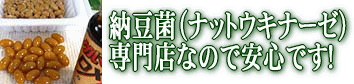 �[���ہi�i�b�g�E�L�i�[�[�j���X�ň��S�ł��B