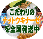 �������̃i�b�g�E�L�i�[�[��S��������