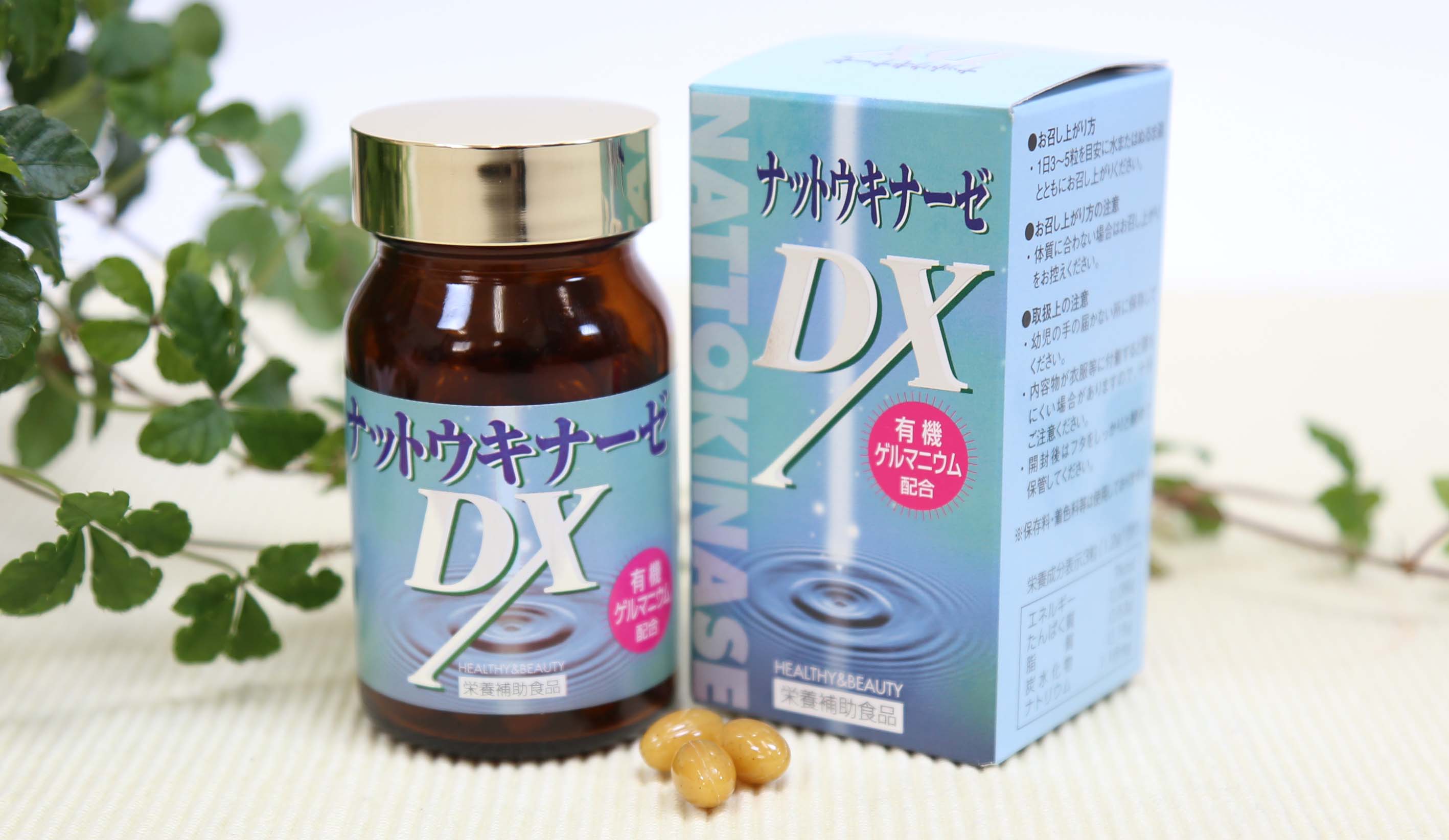 纳豆激酶ＤＸ