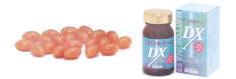 [GLX/[/ibgELi[[/L@Q}jE Xi^{bNVh[얞E][ǥS؍[Ǘ\hȂǂɁIj/ibgELi[[cw
