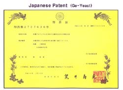 日本国内专利