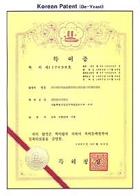 韩国ＰＡＴ（国际专利）