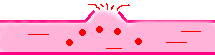 Ǒ
