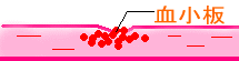 W܂