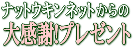 ナットウキナーゼDX